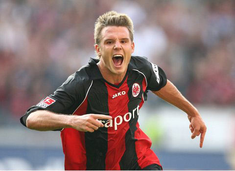 拥有广泛的 拥有广泛的